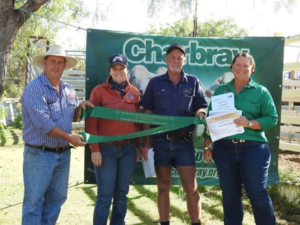 Monto Charbray Show & Sale Results 2021.